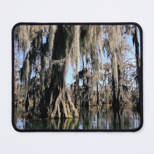 Item preview, Lake Martin swamp in Breaux Bridge Louisiana. designed and sold by chillbilldill.