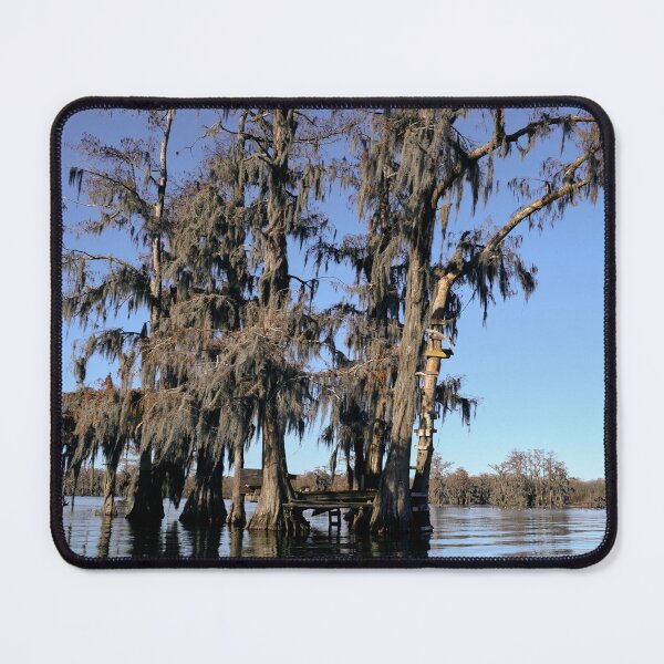 Item preview, Lake Martin swamp tree house in Breaux Bridge Louisiana designed and sold by chillbilldill.