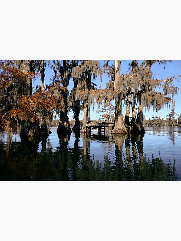 "Lake Martin swamp tree house in Breaux Bridge Louisiana." Poster for