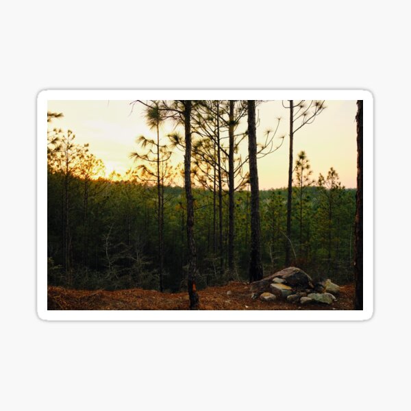 "Kisatchie National Forest Backbone Trail in Louisiana" Sticker for
