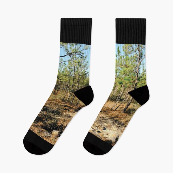 Item preview, Rocky Sandy Trail Backbone Trail Kisatchie National Forest designed and sold by chillbilldill.