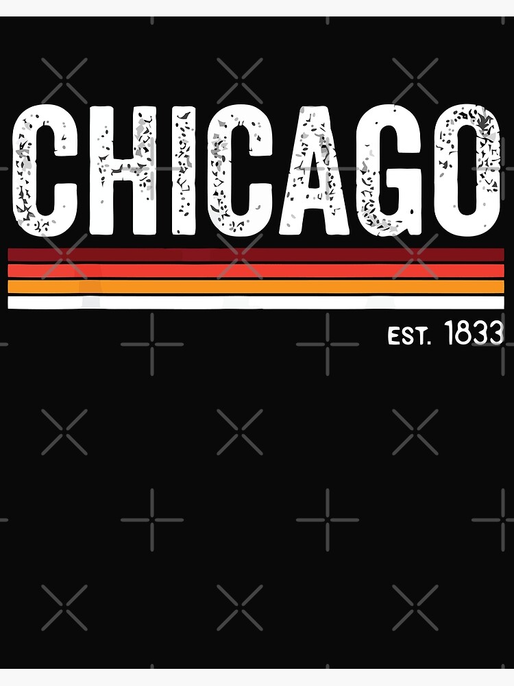 Vintage Chicago Flag Souvenir Gift Men Women Kids T-Shirt