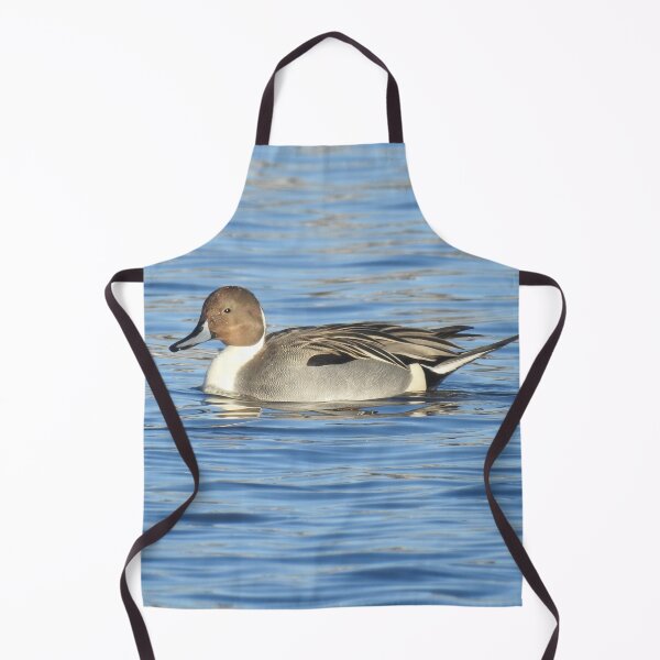 Item preview, Northern pintail duck, wild birds, wildlife gifts designed and sold by Sandra O'Toole.