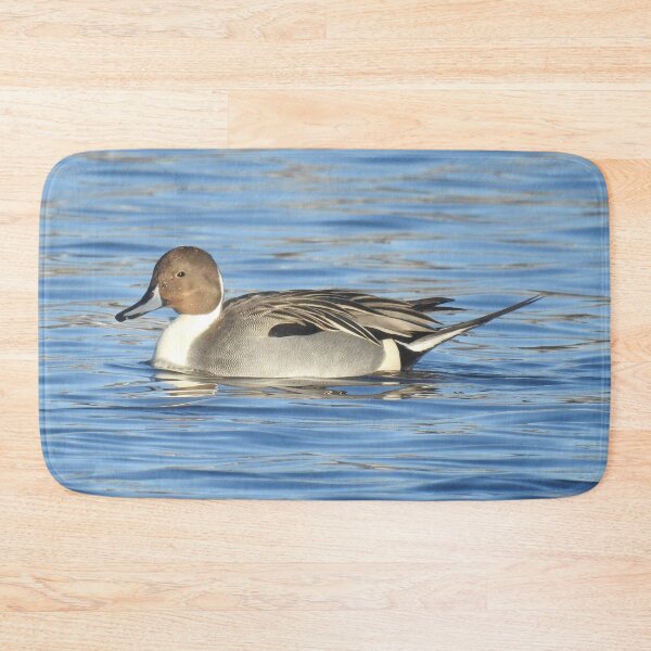 Item preview, Northern pintail duck, wild birds, wildlife gifts designed and sold by Sandra O'Toole.
