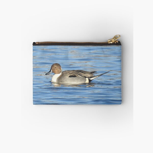 Item preview, Northern pintail duck, wild birds, wildlife gifts designed and sold by Sandra O'Toole.