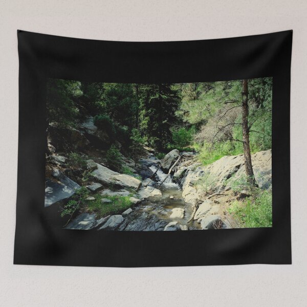 Item preview, Beaver Brook Trail in Colorado designed and sold by chillbilldill.