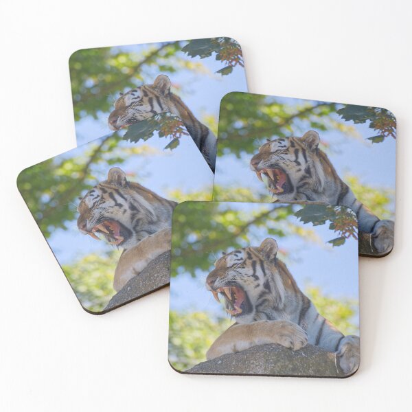 Item preview, Tiger on the rocks designed and sold by Willbadmanphoto.