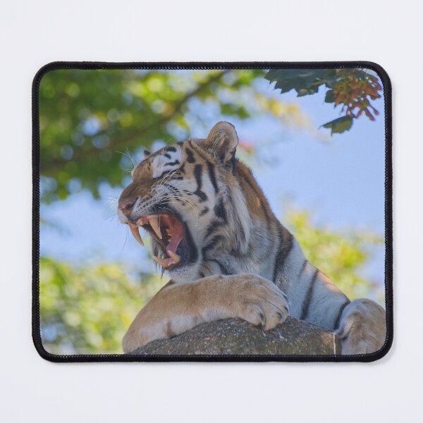 Item preview, Tiger on the rocks designed and sold by Willbadmanphoto.