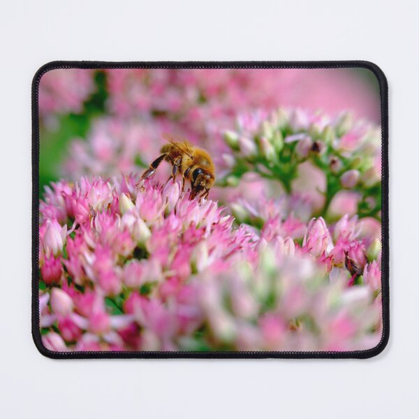 Item preview, Bee On Stonecrop Flower 1 designed and sold by Robert Alsop.
