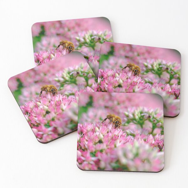Item preview, Bee On Stonecrop Flower 1 designed and sold by Robert Alsop.