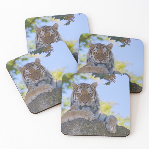 Item preview, Tiger on the rocks designed and sold by Willbadmanphoto.