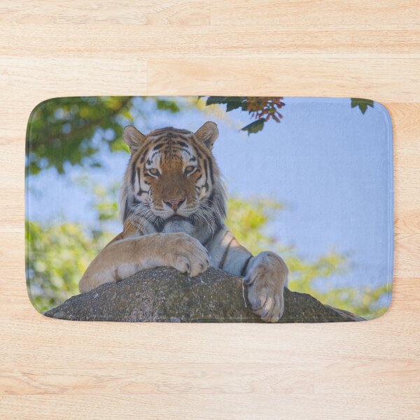 Item preview, Tiger on the rocks designed and sold by Willbadmanphoto.