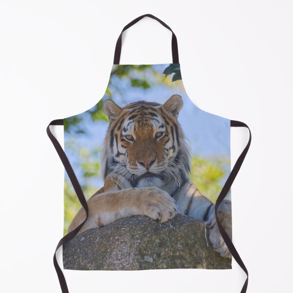 Item preview, Tiger on the rocks designed and sold by Willbadmanphoto.