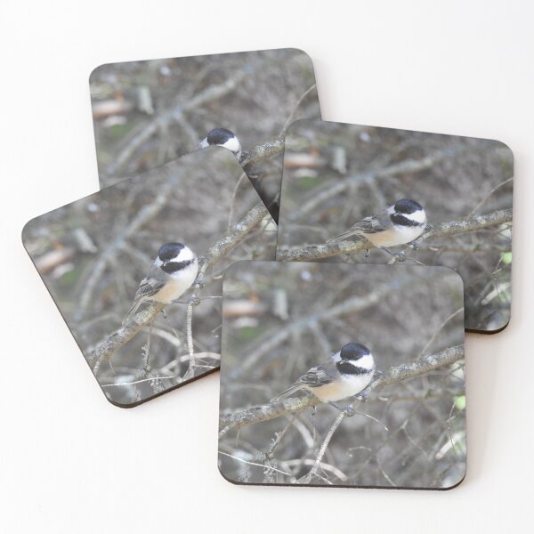 Item preview, Black-capped Chickadee, wild birds, wildlife gifts designed and sold by Sandra O'Toole.