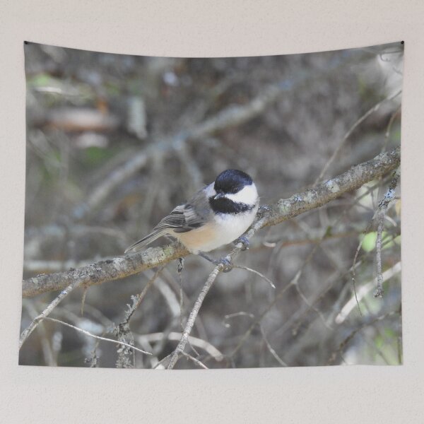 Item preview, Black-capped Chickadee, wild birds, wildlife gifts designed and sold by Sandra O'Toole.