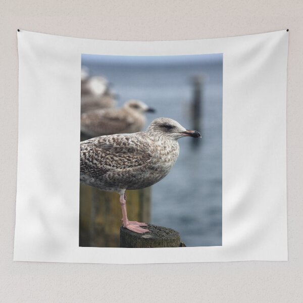 Item preview, Gulls designed and sold by Falko-Follert.