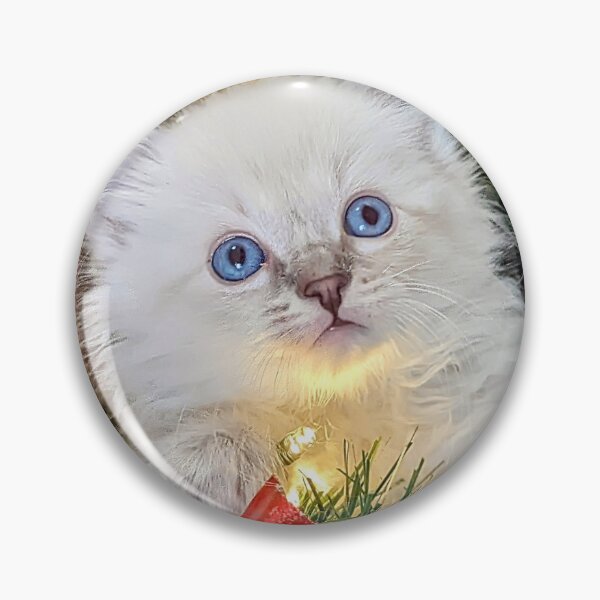 Item preview, Sweet Christmas ragdoll kitten designed and sold by Fluffycat2020.