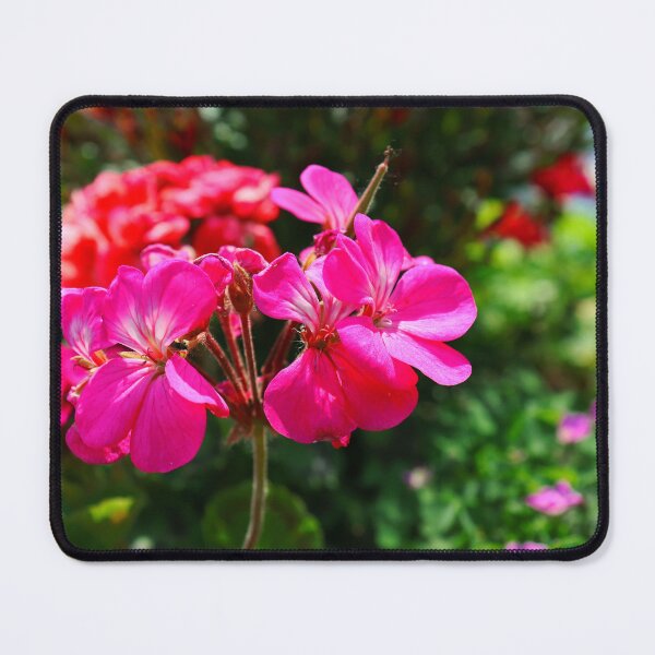 Item preview, Pink Flowers designed and sold by mcasher4.