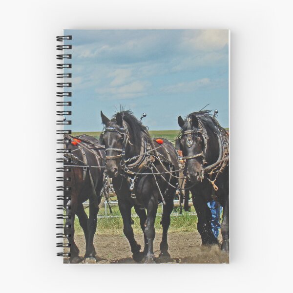 Item preview, The B Team - Line Dancing -  designed and sold by alabca.