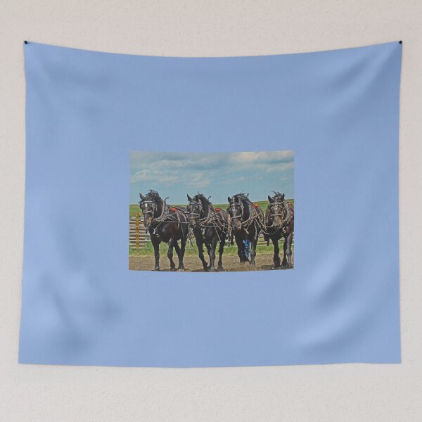 Item preview, The B Team - Line Dancing -  designed and sold by alabca.