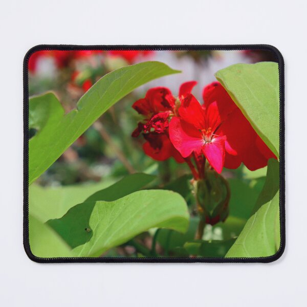 Item preview, Red Flower designed and sold by mcasher4.