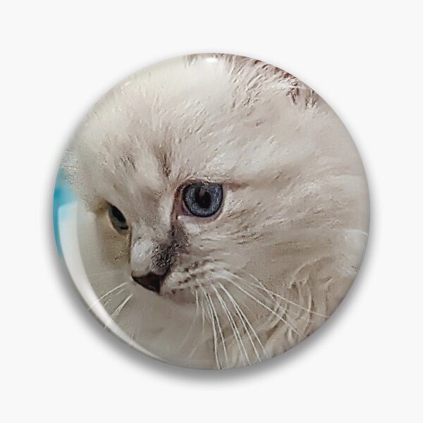Item preview, Sweet Christmas ragdoll kitten designed and sold by Fluffycat2020.