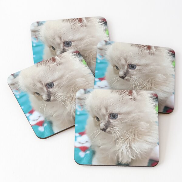 Item preview, Sweet Christmas ragdoll kitten designed and sold by Fluffycat2020.