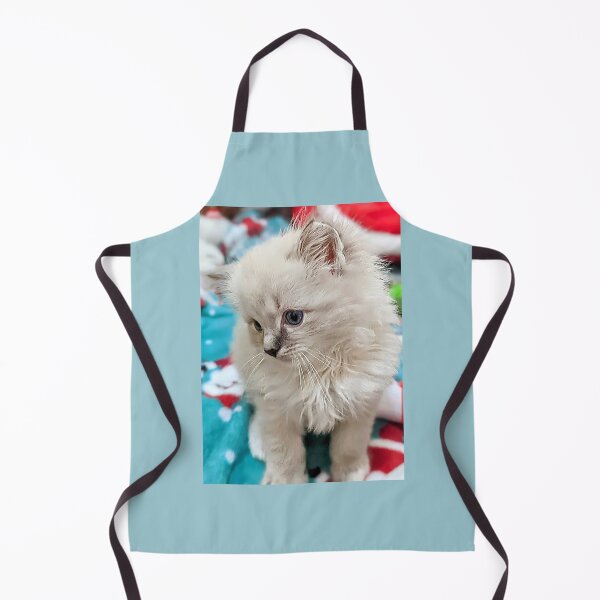 Item preview, Sweet Christmas ragdoll kitten designed and sold by Fluffycat2020.