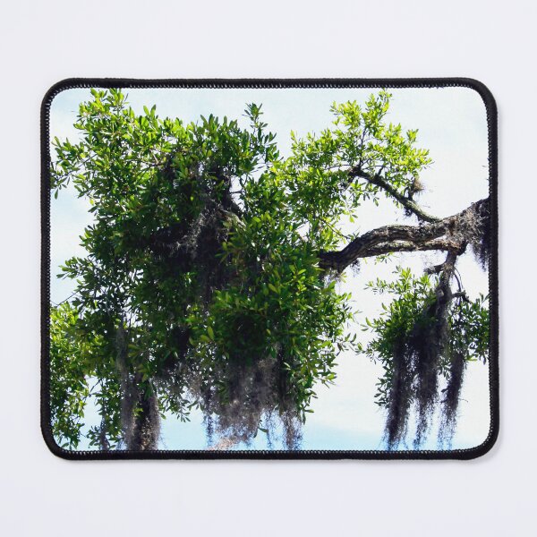 Item preview, Trees, Spanish Moss & Florida Sky  designed and sold by heatherfriedman.