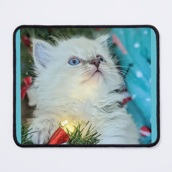 Item preview, Sweet Christmas ragdoll kitten designed and sold by Fluffycat2020.