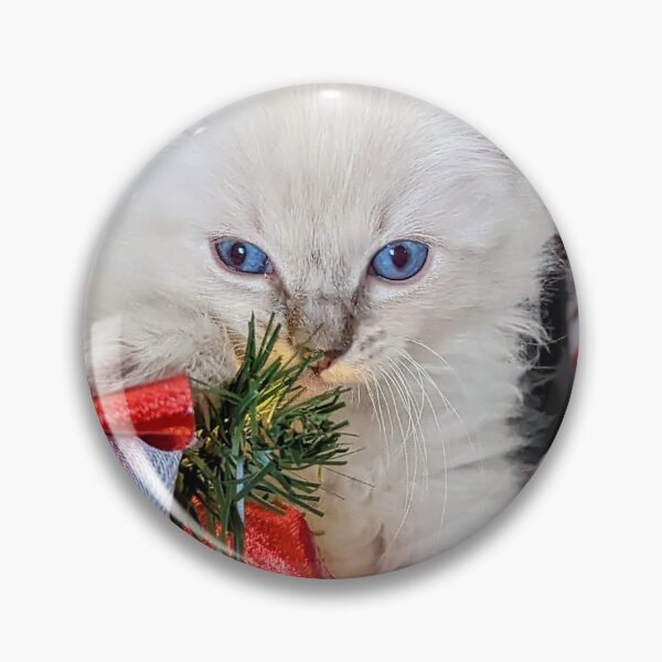 Item preview, Sweet Christmas ragdoll kitten designed and sold by Fluffycat2020.