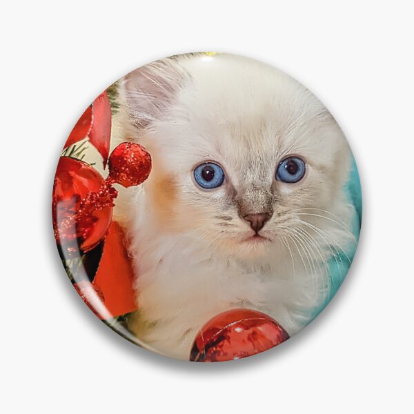 Item preview, Sweet Christmas ragdoll kitten designed and sold by Fluffycat2020.