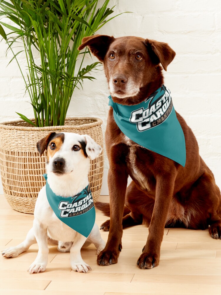 Miami Dolphins Dog Bandana Small