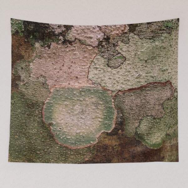 Item preview, Multi Colored Lichen on a Tree Trunk in the Guatemalan Jungle  designed and sold by heatherfriedman.