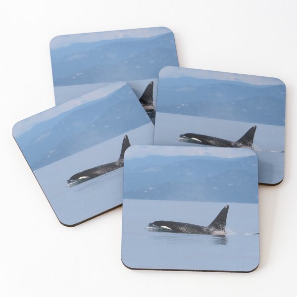Item preview, Male Bigg's Killer Whale designed and sold by Whale & Dolphin Wisdom Retreats.