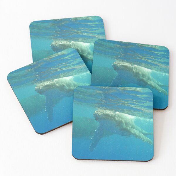 Item preview, Humpback calf coming to say Hello! designed and sold by Whale & Dolphin Wisdom Retreats.