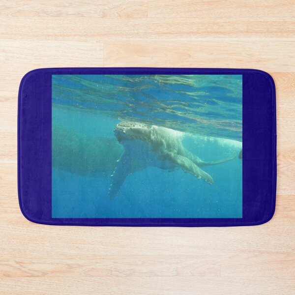 Item preview, Humpback calf coming to say Hello! designed and sold by Whale & Dolphin Wisdom Retreats.