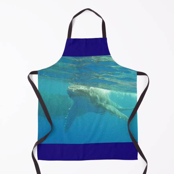 Item preview, Humpback calf coming to say Hello! designed and sold by Whale & Dolphin Wisdom Retreats.