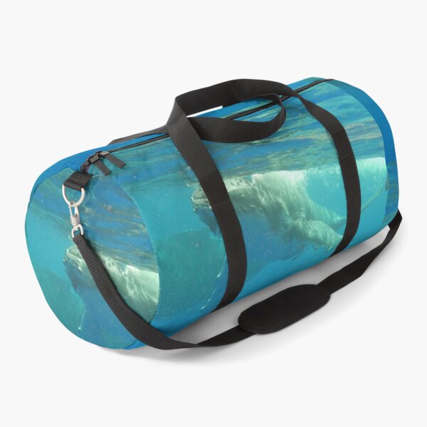 Item preview, Humpback calf coming to say Hello! designed and sold by Whale & Dolphin Wisdom Retreats.