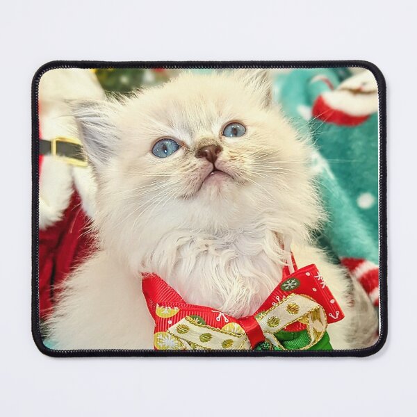 Item preview, Sweet Christmas ragdoll kitten designed and sold by Fluffycat2020.