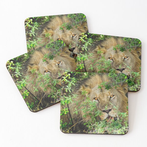 Item preview, This Lion Is Watching You designed and sold by Kay Brewer.