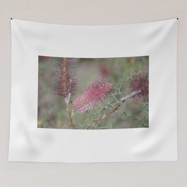Item preview, Grevillea paradoxa (Bottlebrush grevillea) designed and sold by lezvee.
