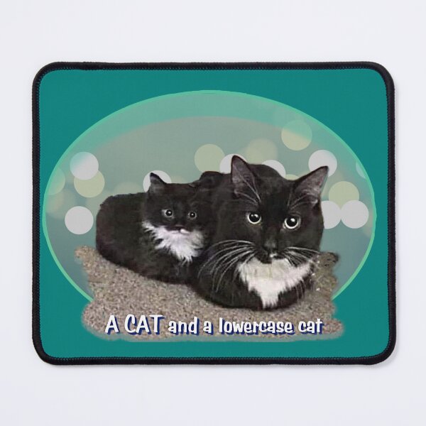 Item preview, UPPER CASE AND LOWER CASE designed and sold by THE AMERICAN TEEVANGELIST.