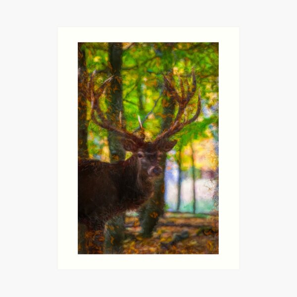 The deer stag by Brian Vegas Art Print