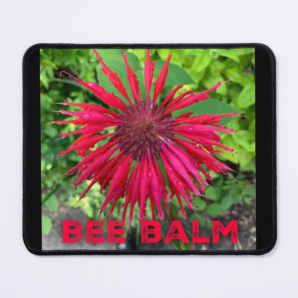 Item preview, Scarlet Bee Balm designed and sold by homesteadswag.
