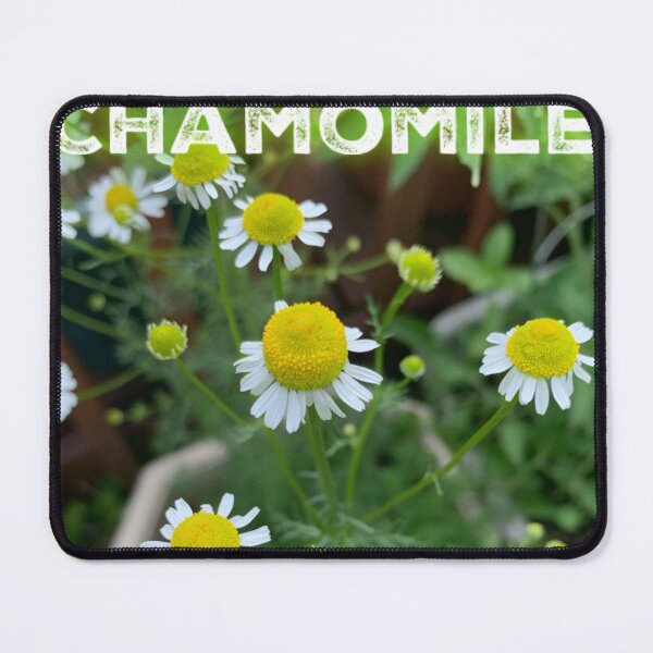 Item preview, Chamomile designed and sold by homesteadswag.