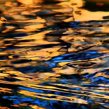 Artwork thumbnail, Orinoco Flow by Pamela Bates
