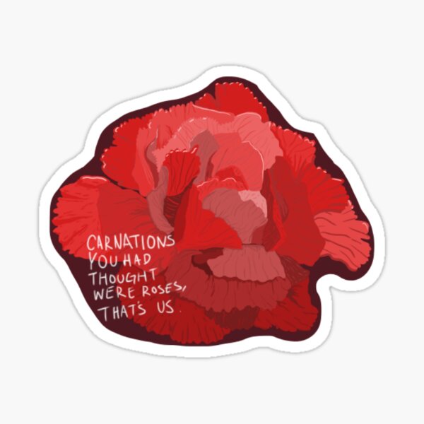 "Maroon Taylor Swift "Carnations You Though Were Roses" lyrics