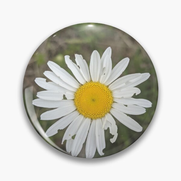 Item preview, Tattered Daisy designed and sold by TheRealDanniX.