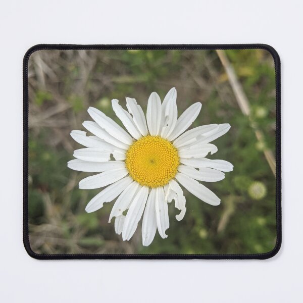 Item preview, Tattered Daisy designed and sold by TheRealDanniX.